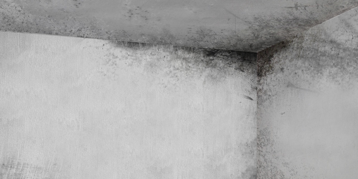 Feuchter Keller Meerbusch_Anzeichen eines feuchten Kellers