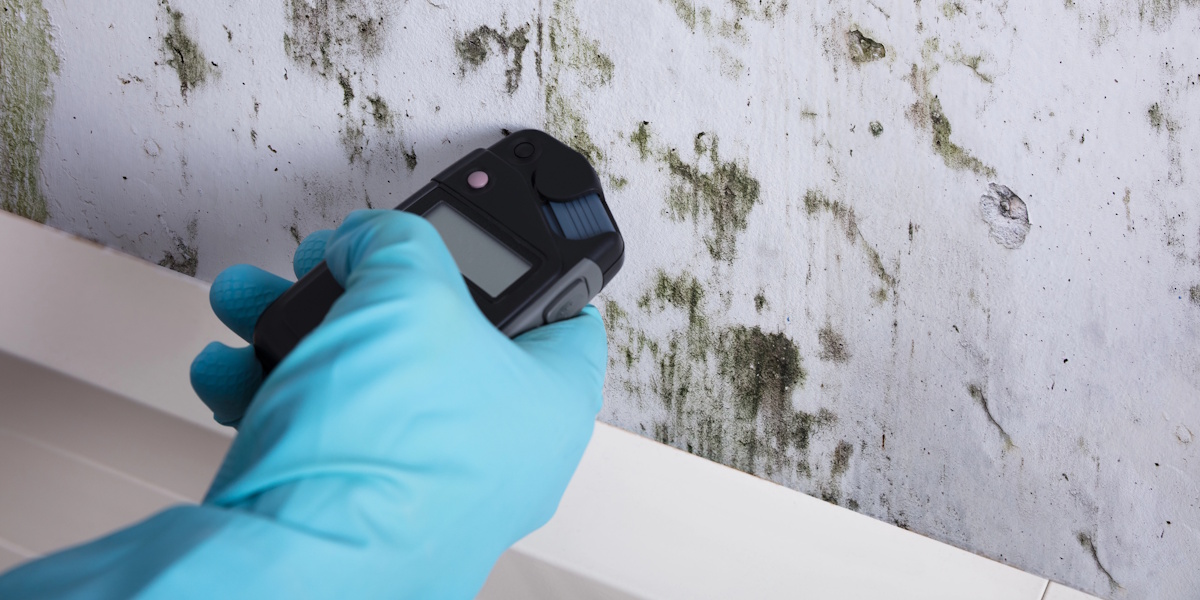 Abdichtungstechnik Mönchengladbach_Durchführung einer Feuchtigkeitsanalyse