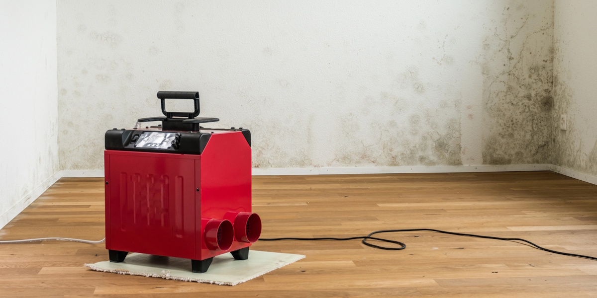 Keller abdichten Bedburg_Bautrocknung und Feuchtemessung