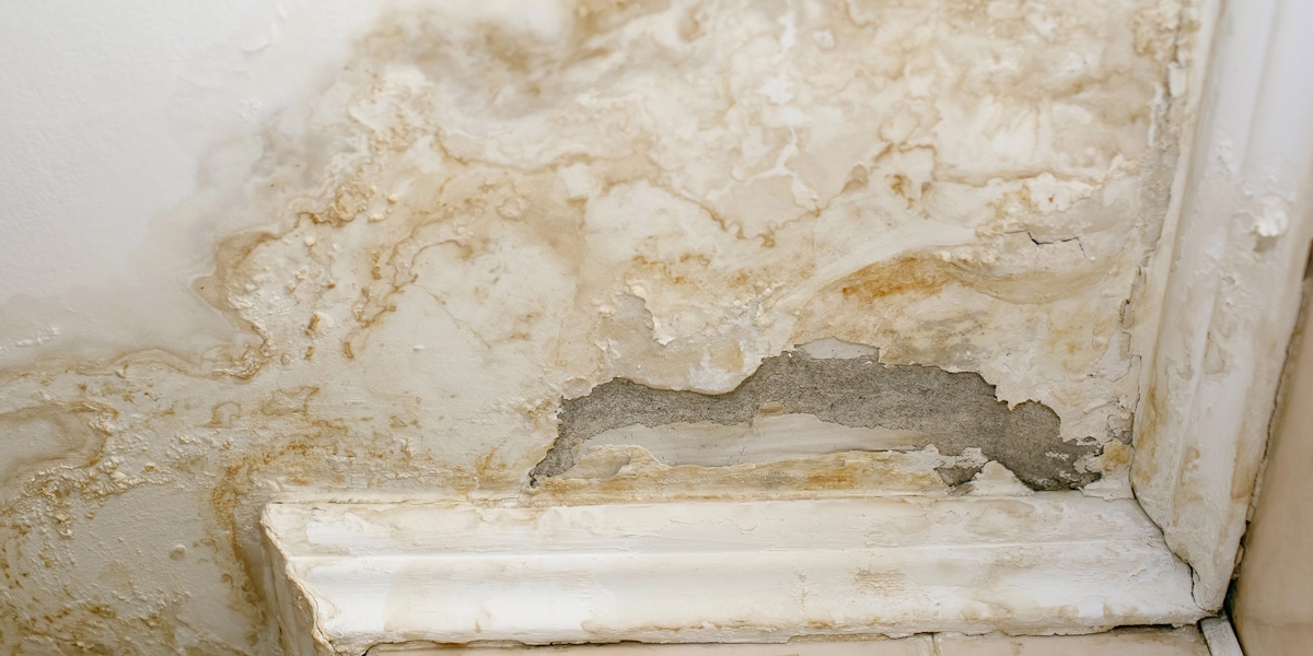 Abplatzender Putz und Verfärbungen an einer Innenwand durch Feuchtigkeitsschäden