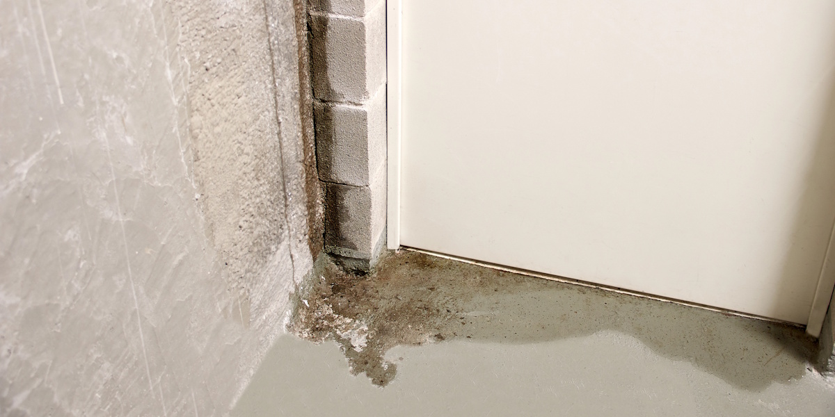 Grundwasser im Keller abpumpen oder nicht_Grundwasser Feuchter Wand-Boden-Anschluss im Keller mit Ausblühungen und eindringender Nässe