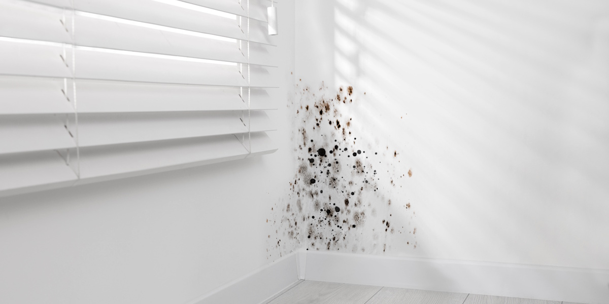 Schimmel in Raumecke als Folge zu hoher Raumluftfeuchtigkeit
