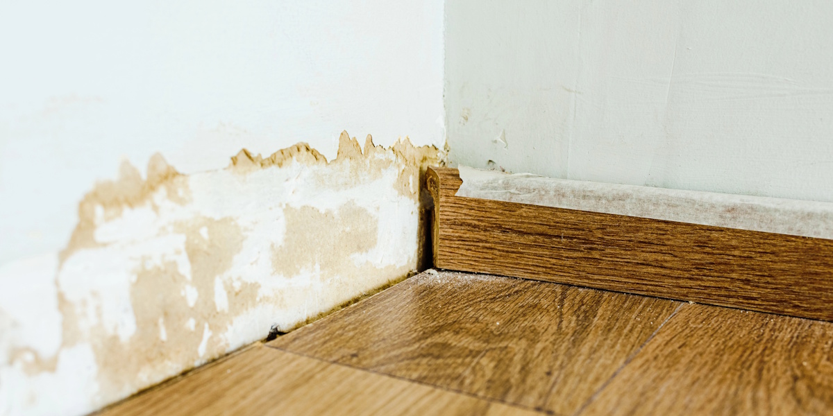 Haus ohne Keller Drainage_Typische Gefahren Feuchteschäden und abblätternder Putz im Sockelbereich aufsteigende Feuchtigkeit ohne Keller