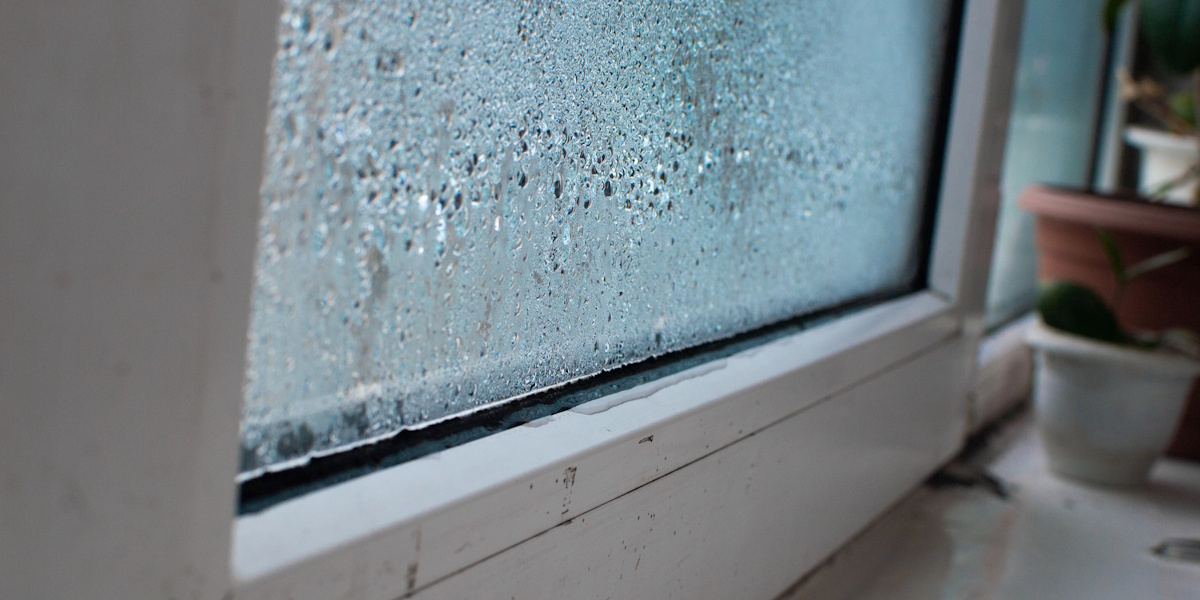 Wann ist die Luftfeuchtigkeit zu hoch_Typische Anzeichen Kondenswasser an Fensterscheibe durch zu hohe Luftfeuchtigkeit im Raum