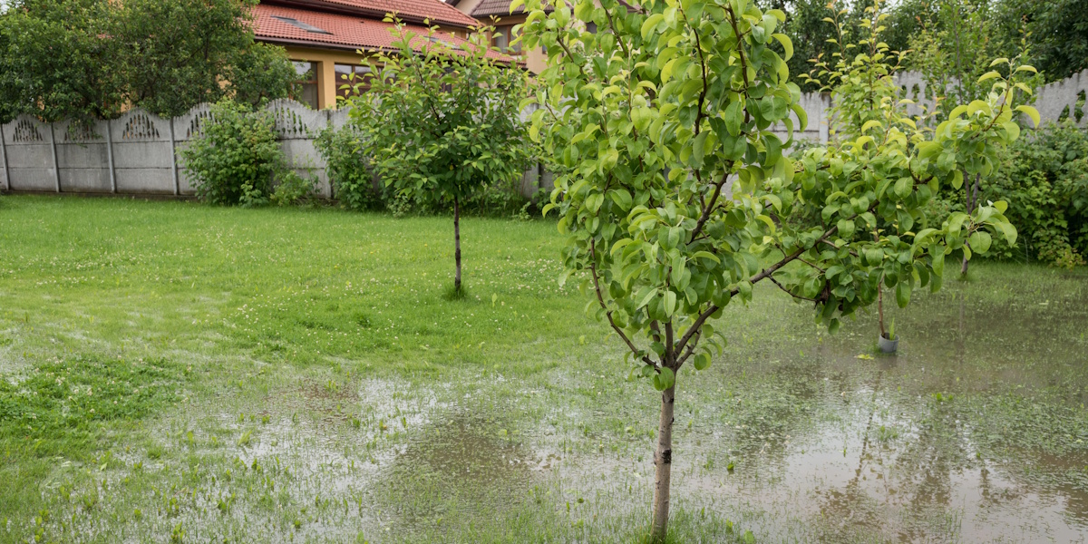 Staunässe im Garten mit Wasseransammlung auf Rasenfläche nach Regen