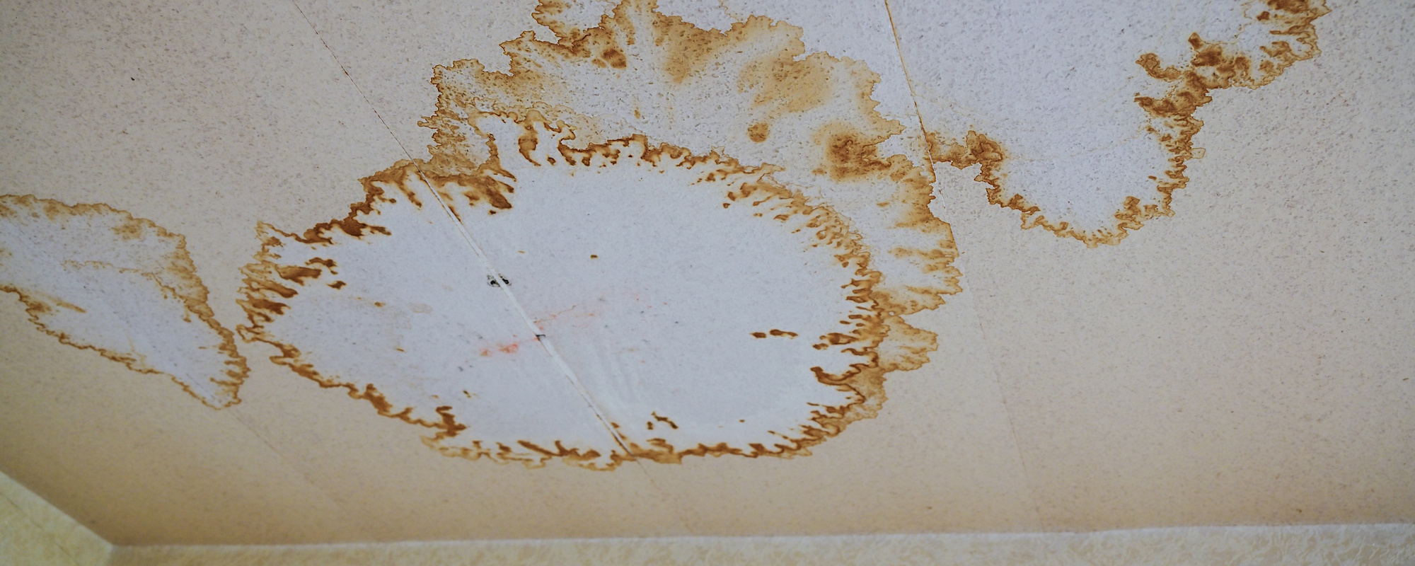 Kleine Braune Punkte An Der Wand